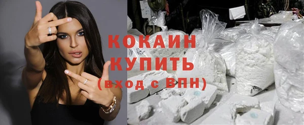 дживик Богородицк