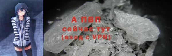 дживик Богородицк