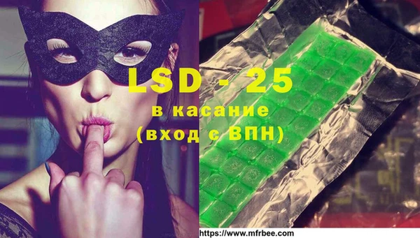стафф Богданович