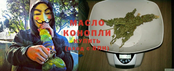 дживик Богородицк