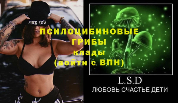 стафф Богданович
