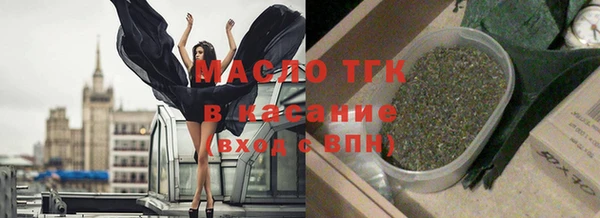 дживик Богородицк