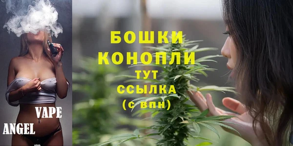 дживик Богородицк